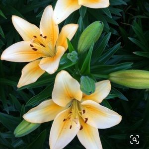 Meet your Posher, Jeffrey